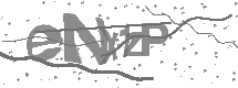 visual captcha
